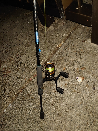 連日アオリGET!!