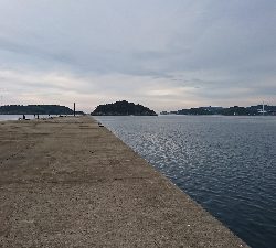 キャスティング