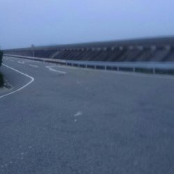 タコ釣れました。