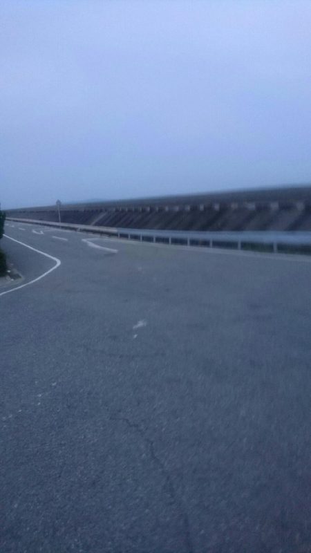 タコ釣れました。