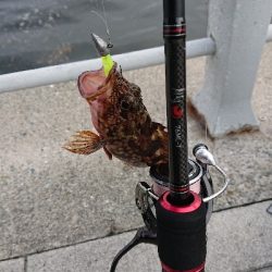 ガシリング南港