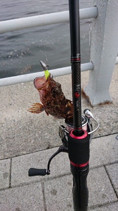 ガシリング南港