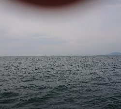 青物不発からのキス釣り