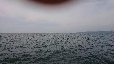 青物不発からのキス釣り