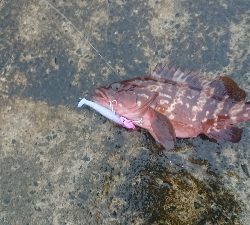 コンディション悪い中