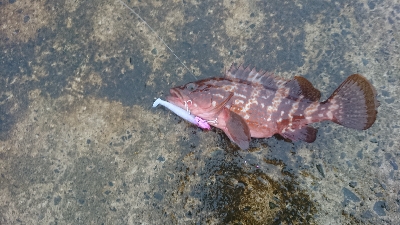 コンディション悪い中