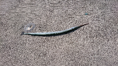 久しぶりの投稿