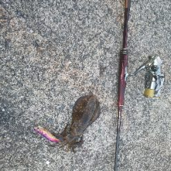 久し振りの当たり方