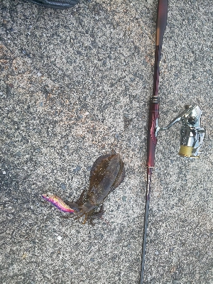 久し振りの当たり方