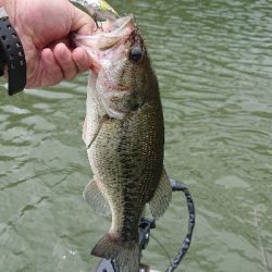 ひさしぶりの終日釣行