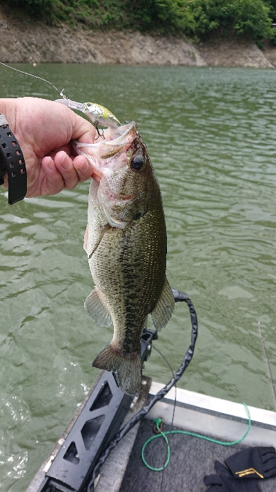 ひさしぶりの終日釣行