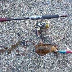 雨が降る前に何とか一杯を、、、