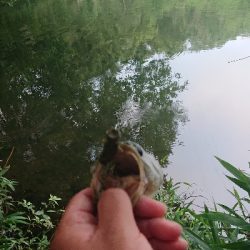 スピニングゲーム