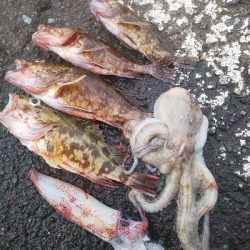 剣、紋、蛸、頭