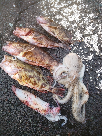 剣、紋、蛸、頭