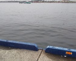 今日は大潮っす！