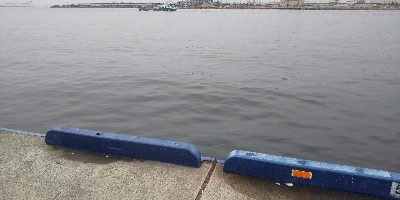 今日は大潮っす！