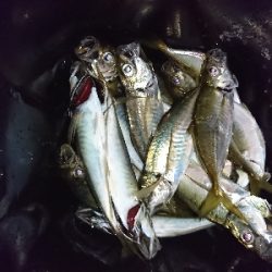 フロートアジング