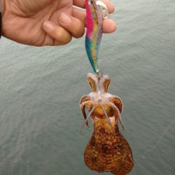 釣場清掃からのエギング