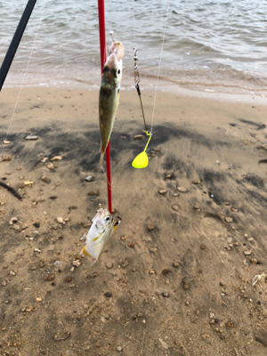 チョイ投げキス