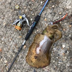 新島赤灯台にて♪GUNNING-STYLE