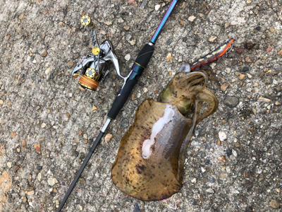 新島赤灯台にて♪GUNNING-STYLE…