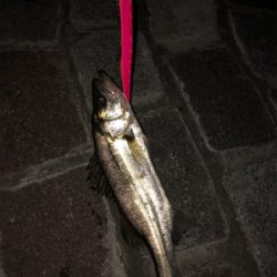 当たりはある！