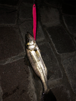 当たりはある！