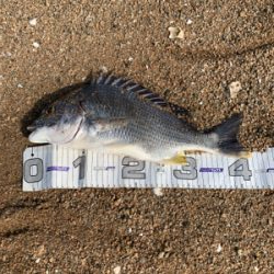 やっとのことで