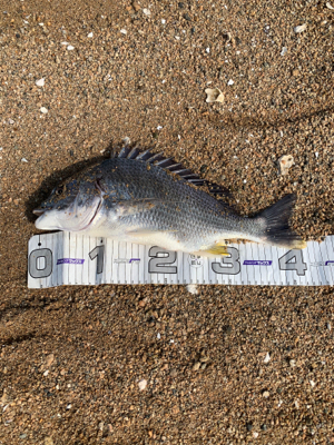 やっとのことで