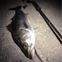 ジャークでドン！