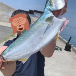 ベイト大量！ハマチ回遊あり！