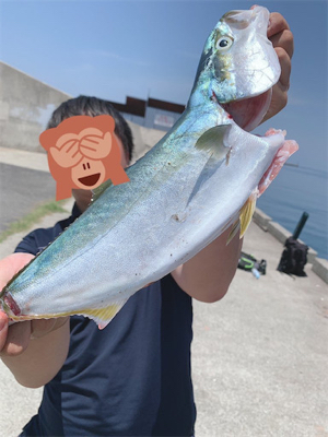 ベイト大量！ハマチ回遊あり！