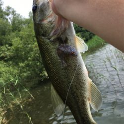 ギルフラットJR サイコー