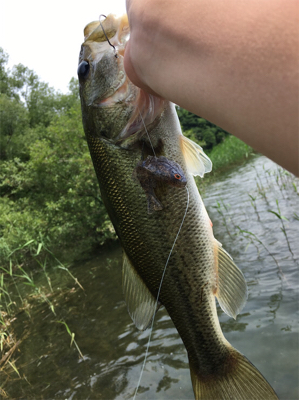 ギルフラットJR サイコー