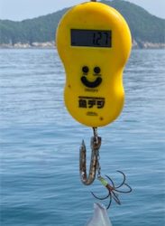 春のラストアオリ