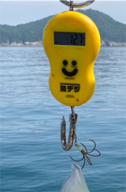 春のラストアオリ