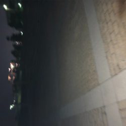 久しぶりの釣り