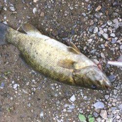 まさかのスモール