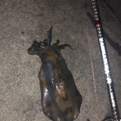 Newロッド墨付け