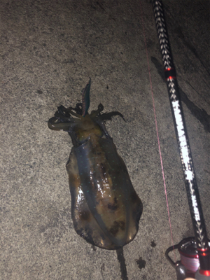 Newロッド墨付け