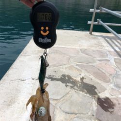 解除明け初釣行