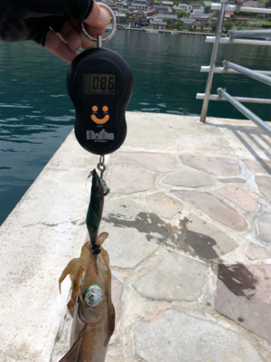 解除明け初釣行