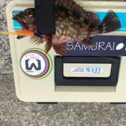 ライトワインド