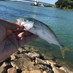 キスちょい投げ