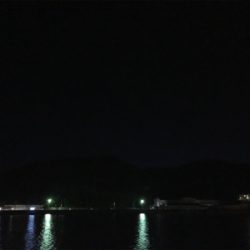 バチ終わりかな？