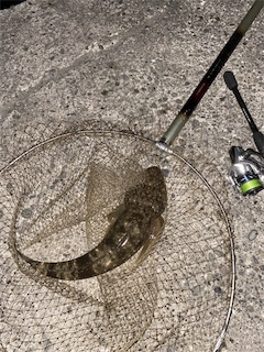 おてがる高級魚