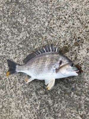 水の色がおかしい