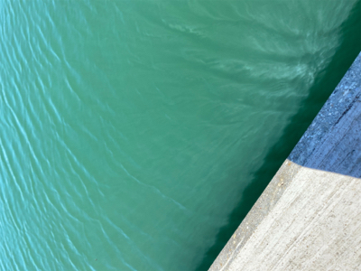 ハゼが浮いている