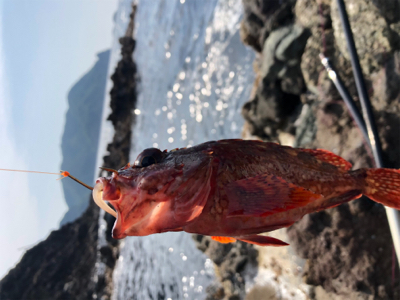 梅雨入り前のボート釣り